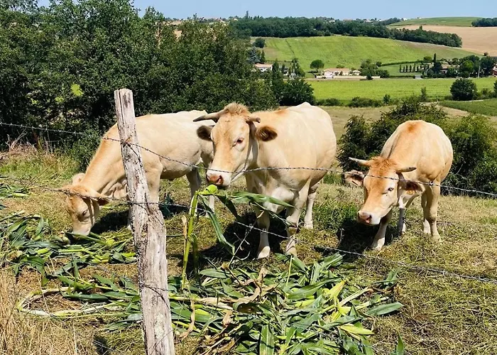 Βίλα La Bastide Du